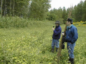 Active Management Best Way to Enhance Functional Values of Riparian Buffers