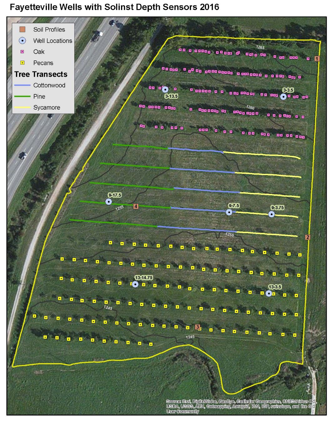 Figure 3: Map of the agroforestry site at the University of Arkansas in Fayetteville.